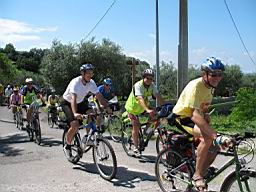 IMG_2867.jpg
