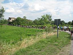 IMG_2982.jpg
