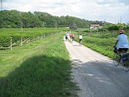 IMG_2987.jpg