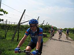 IMG_3162.jpg
